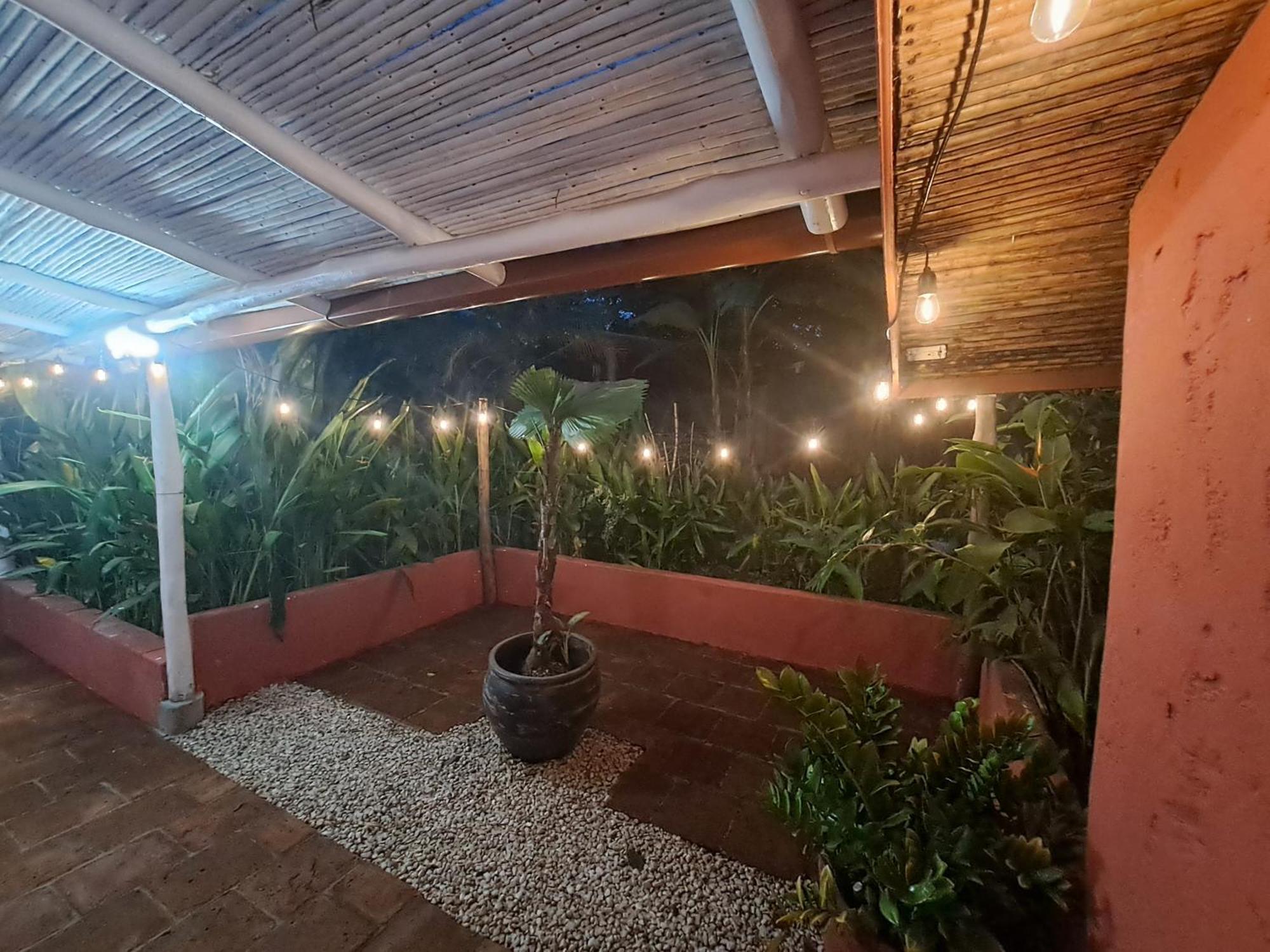 Casa Mapache Maison d'hôtes Tamarindo