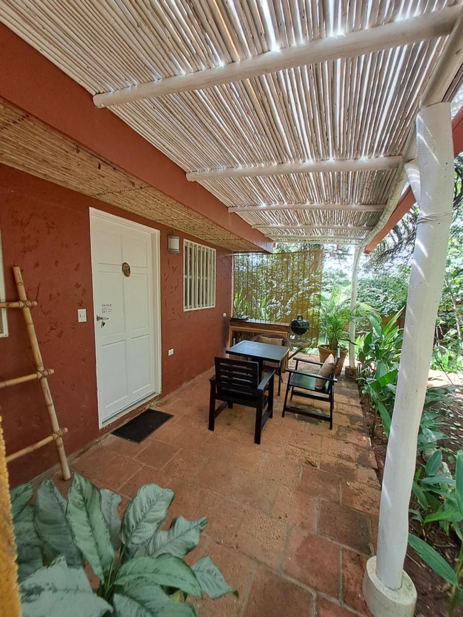 Guest house Casa Mapache
