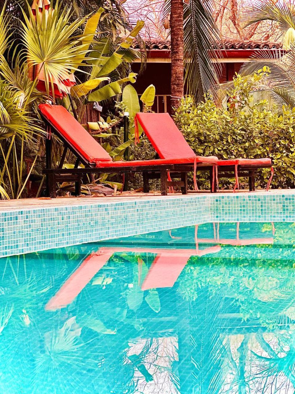 Casa Mapache Maison d'hôtes Tamarindo