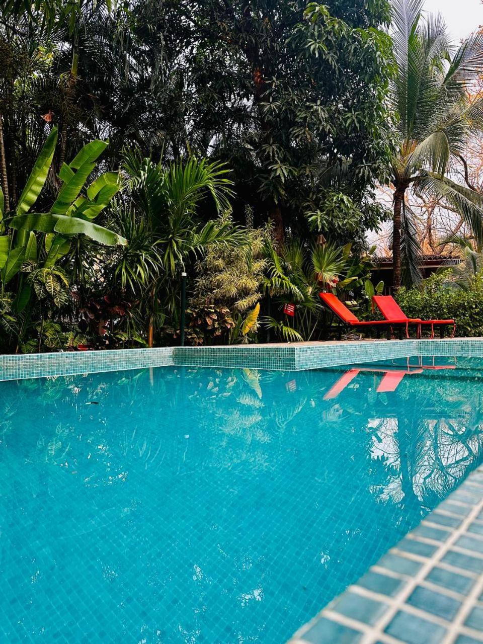 Casa Mapache Guest house